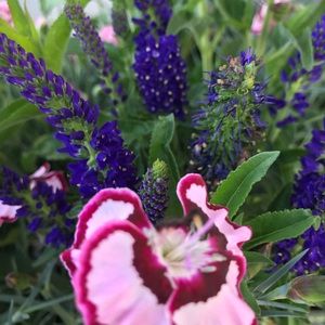 Meet your Posher, Melinda